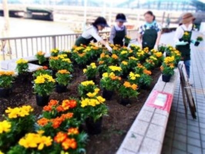 IbJkP5yrViFlneAdKkC6.jpg?w=940&h=940