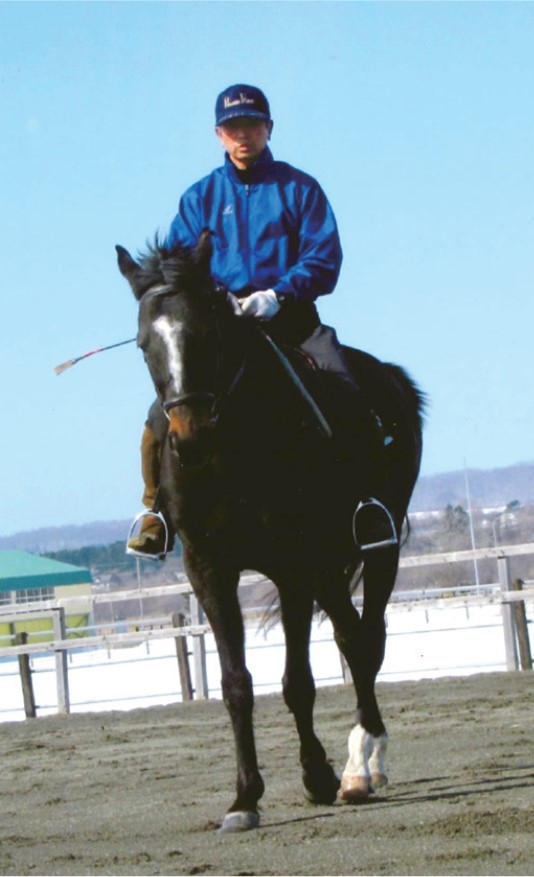 著者:三木田照明