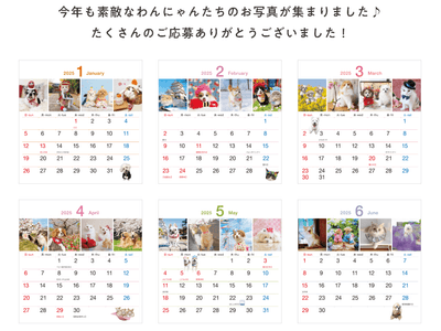 Ica1MAgHhpBZIAkRUbmz.png?w=940&h=940