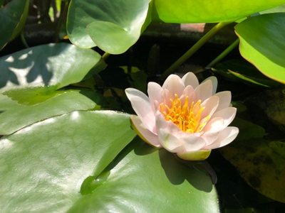 IdQgFB5Qcg2dGN0wllPe.jpg?w=940&h=940