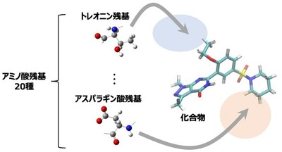 図1　アミノ酸マッピングの概念図。AAM記述子は化合物周辺に計算される20種類のアミノ酸残基ごとの3次元存在分布であり、タンパク質の標的部位に結合しうる化合物の特徴が表現されています。