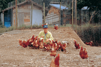 鶏本来の姿で育てたいという思いで、1994年に創業