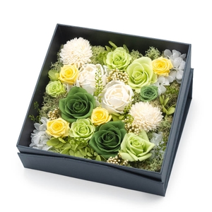 Ie2k4miqsNktWsxk8pqy.jpg?w=940&h=940