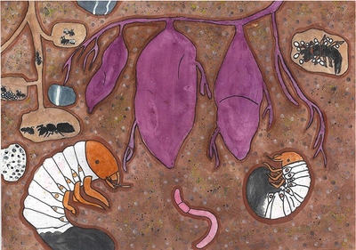 IenPTKWkEkVkW8rVdVUU.jpg?w=940&h=940