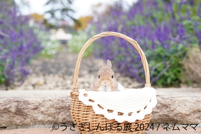 IgpyQQE6mReBmpx6ljd1.jpg?w=940&h=940