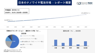 日本のナノワイヤ電池市場