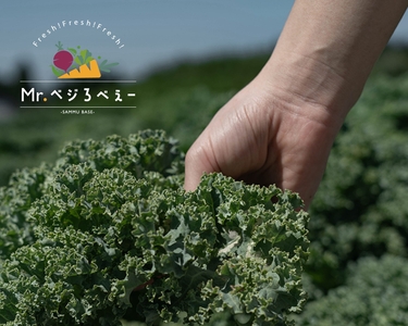 IkKMMmWwDdOZbMdtc2uP.jpg?w=940&h=940