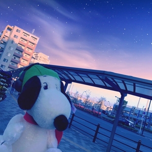 IkistQcg4wXYzTMmeY7s.jpg?w=940&h=940