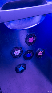 IlZeS2cNldAMXu92rFD6.png?w=940&h=940