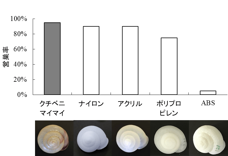 図3 ハウス内におけるクチベニマイマイの殻と4種類のプラスチック製人工殻に対する営巣率