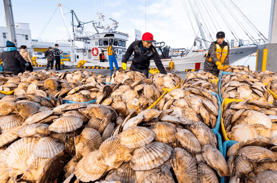 InslrQItoCVb6x2MuvWs.png?w=940&h=940