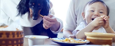 ヒトとワンコがいっしょに食べる無添加おやつ