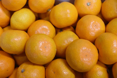 Io6hIa1LpPPMvFJEj2Vg.png?w=940&h=940