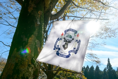 Ip80WHlLHH3bZuCaCIck.jpg?w=940&h=940