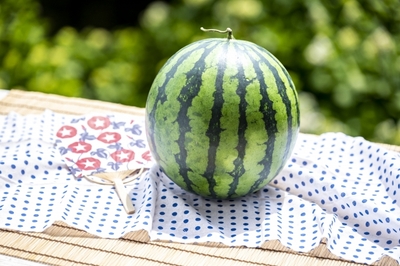 Ip9SR8zfuF3HLay9u7Ex.jpg?w=940&h=940