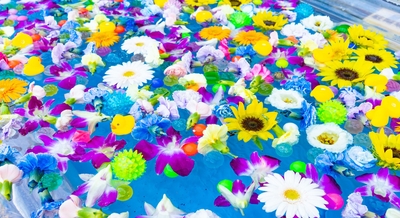 IpQI7MUAnmvPVshxkzWe.jpg?w=940&h=940