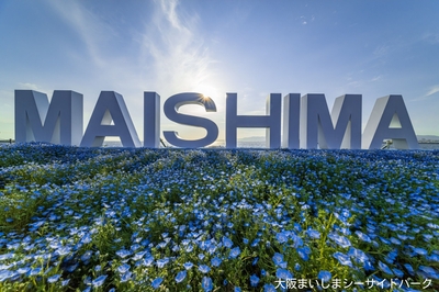 IqUbi9FNFzEBEYEE7XHb.jpg?w=940&h=940