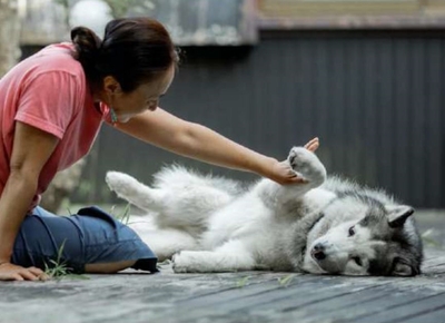 Ir4uCvRAyQ6wX1PbQw8y.jpg?w=940&h=940