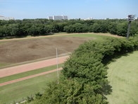 Ira7taQOlqomZrYnyTAC.jpg?w=940&h=940