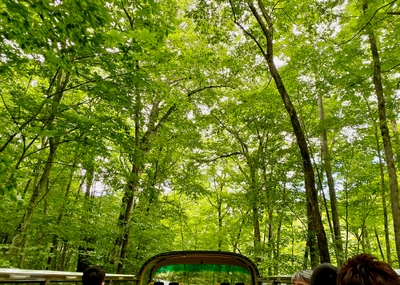 IrpLGUKkV43LiapMObLp.jpg?w=940&h=940