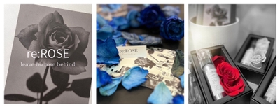 IsJ05KYPHbfQwwER52lk.jpg?w=940&h=940