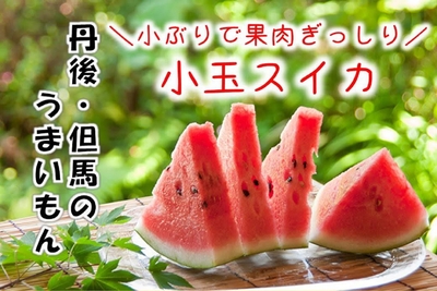 IuayesCHpOVrUPVk6xu4.jpg?w=940&h=940