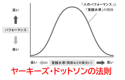 ヤーキーズ・ドットソンの法則
