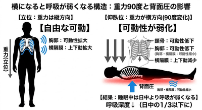 IvIuBm2P4R70BxFkwZ7L.png?w=940&h=940