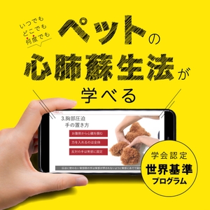 IvgzXBFSH5WGfuJbeZIq.jpg?w=940&h=940