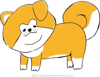 「秋田犬 たれみみだいちゃん」　実在する秋田犬が主人公のゆるいアニメを毎週配信中！