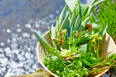 Iwo0ZpwSr0whBCDdSJ60.jpg?w=940&h=940