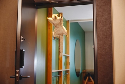 Iws0bcRWsHyUOSJTbLE0.jpg?w=940&h=940