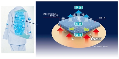 IxXin7IMElz5ywu6mtEB.jpg?w=940&h=940