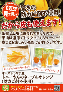 IzFIXHxXiIFNPlXYCe3f.png?w=940&h=940