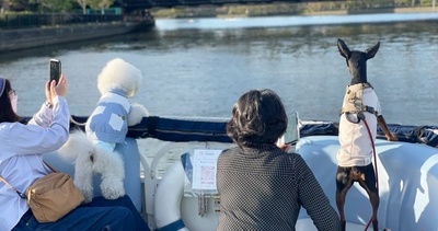 愛犬と一緒にお花見を楽しむ様子