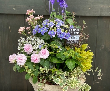 J4j0eiypdzLok44dLCu9.jpg?w=940&h=940