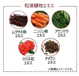 和漢植物エキス