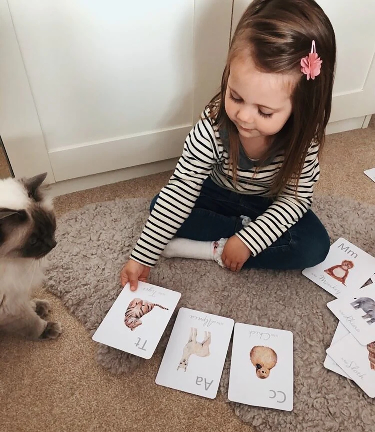 LITTLE ROGLETS/Flashcards