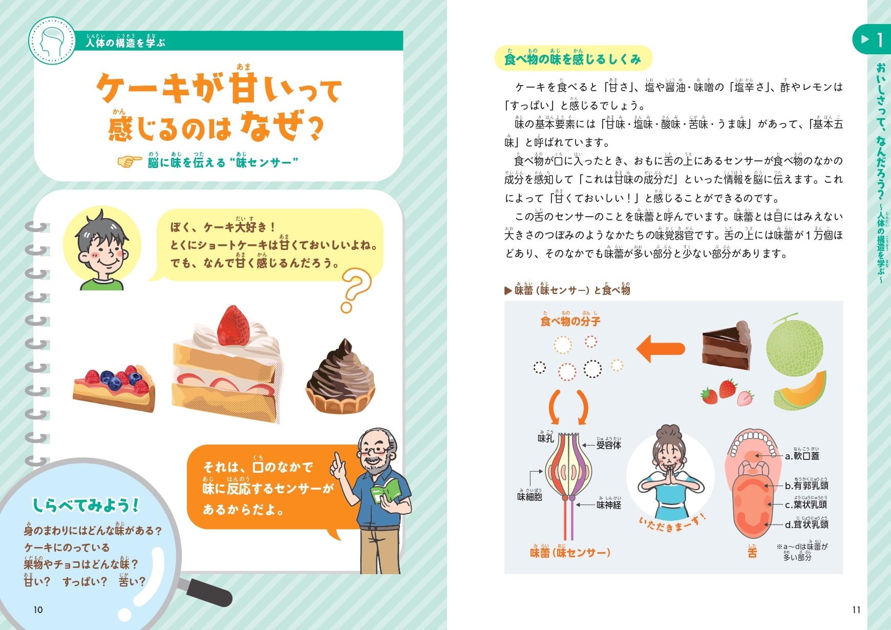 ケーキが甘いって感じるのはなぜ?