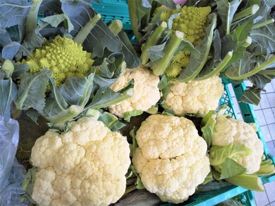 J5fSm0hs2sdzrl2G2maQ.jpg?w=940&h=940