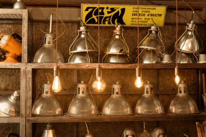 LED SWAN BULB D2000 イメージ1