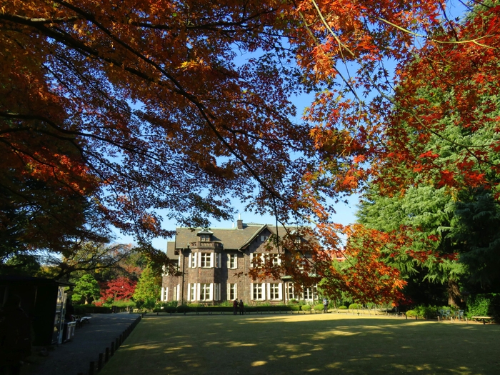 紅葉と洋館(過年度)