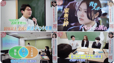 J7Liirb2gzoU7QxuSc2N.png?w=940&h=940