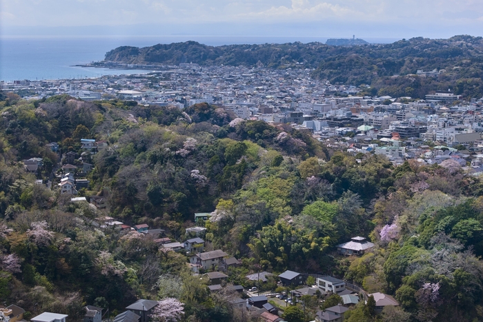 ■鎌倉の高台にある自然豊かな環境