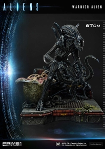 J8rzRlrb7cM2PL5kTvGo.jpg?w=940&h=940