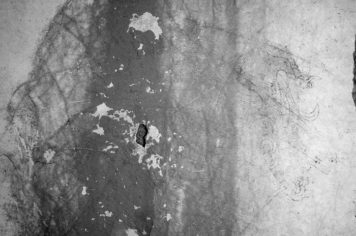 【画像4】青龍図像の赤外線写真(880nm)2004年7 月