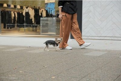 JAL7tPFS7qTuGDC2GzGk.jpg?w=940&h=940