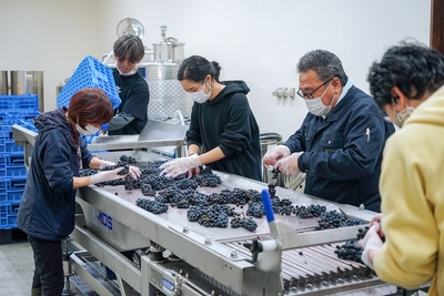 JAOFKsSmzP8oKSFnWZkN.jpg?w=940&h=940