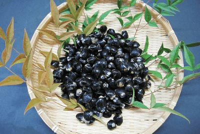 JBKywXqCyWG87OR5tWC0.png?w=940&h=940