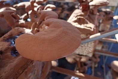 JBQT3jE0C6nsDzgSIZ94.jpg?w=940&h=940